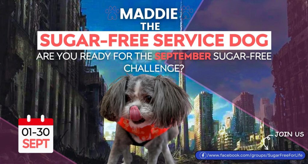 Maddie the Sugar Free Service Dog